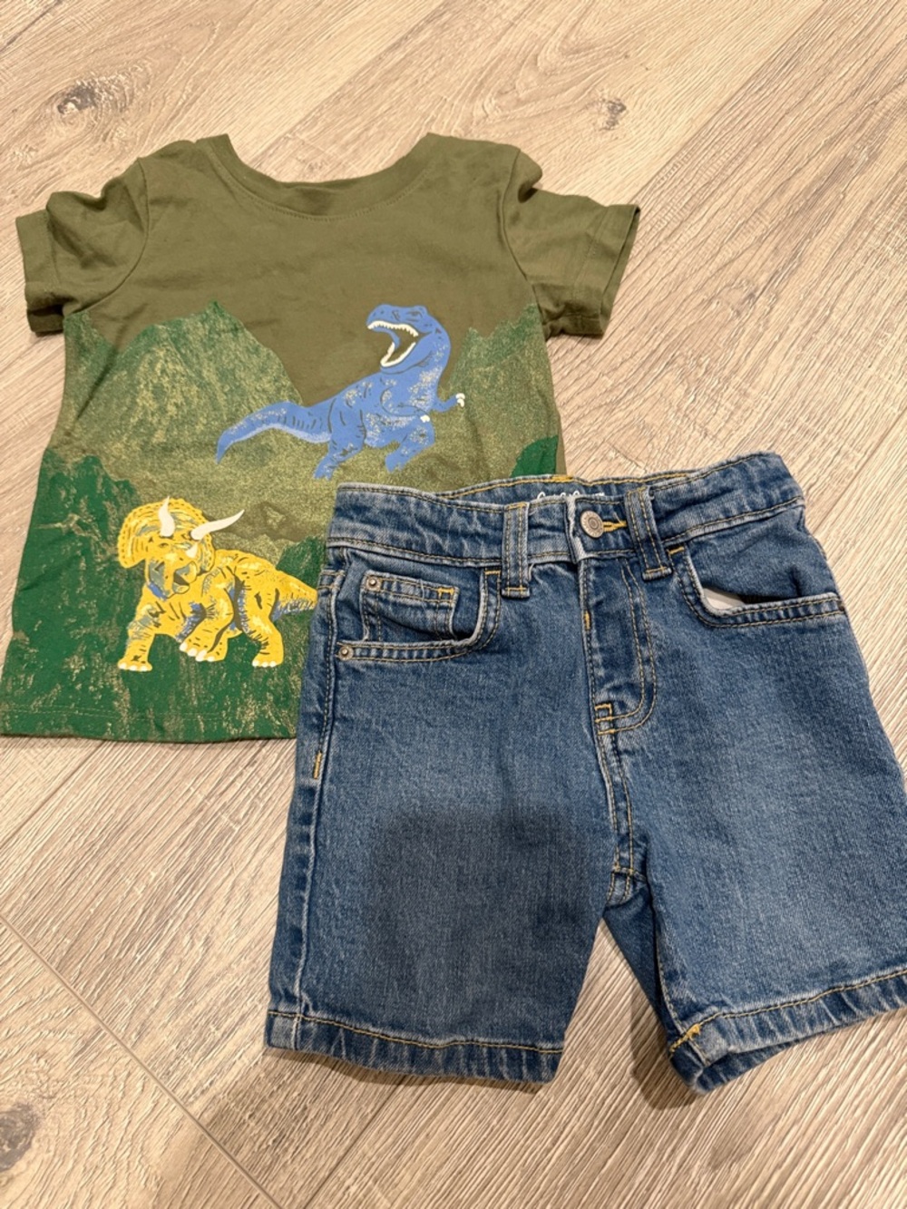 Cat & Jack Toddler Set 2T
